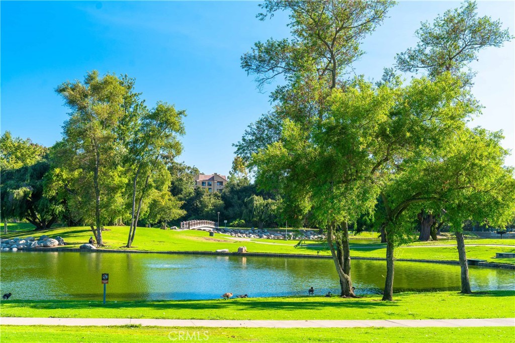 18 Solana Irvine, CA 92612 - Photo 50 of 55 a view of a swimming pool with a yard