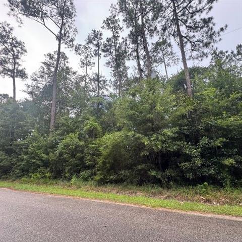 0 West Ruth Road Lacombe, LA 70445 - Photo 2 of 8