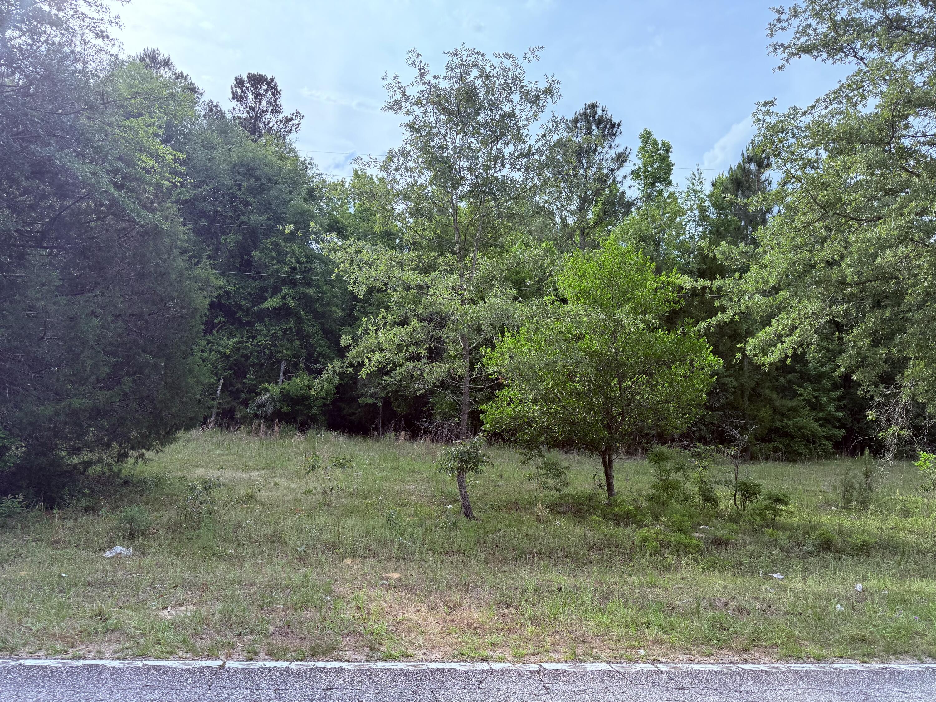 5827 Reynolds Road Blackville, SC 29817 - Photo 5 of 5
