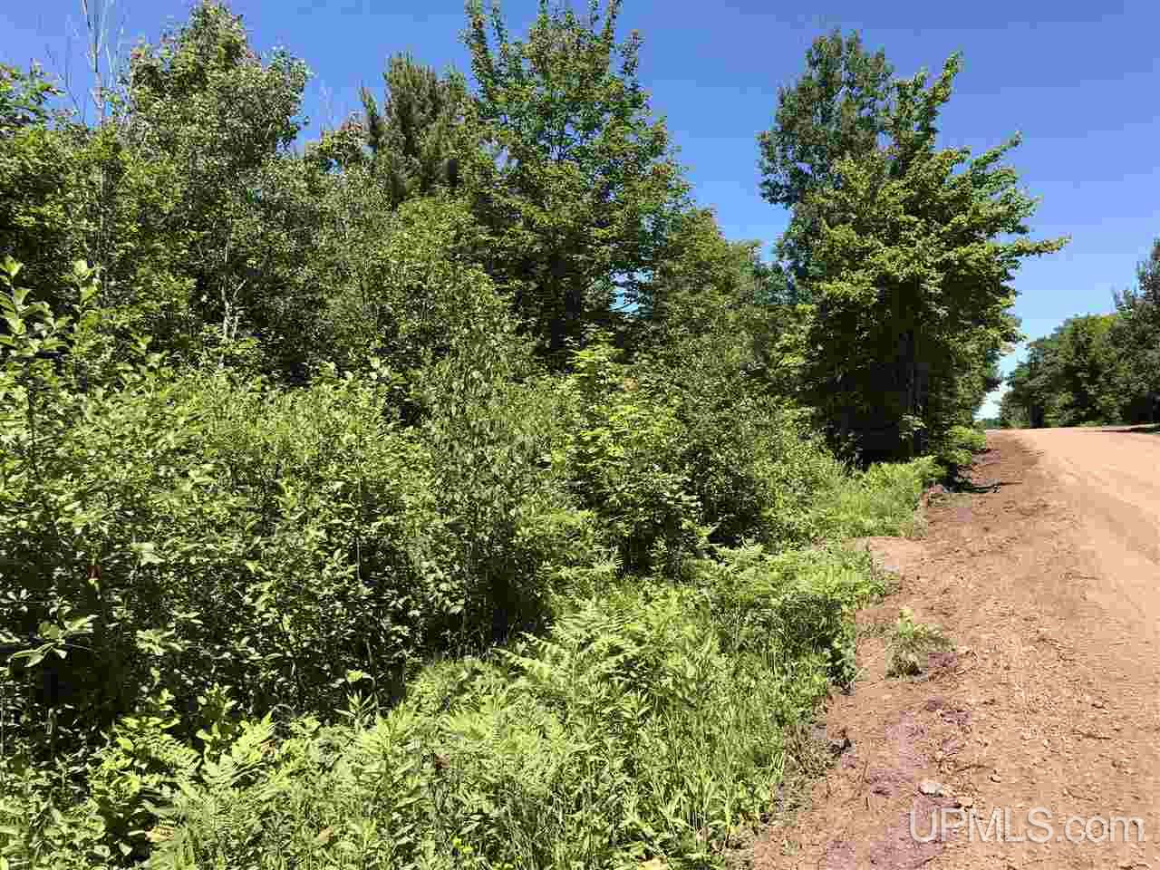 Tbd Dover Road Calumet, MI 49913 - Photo 3 of 12