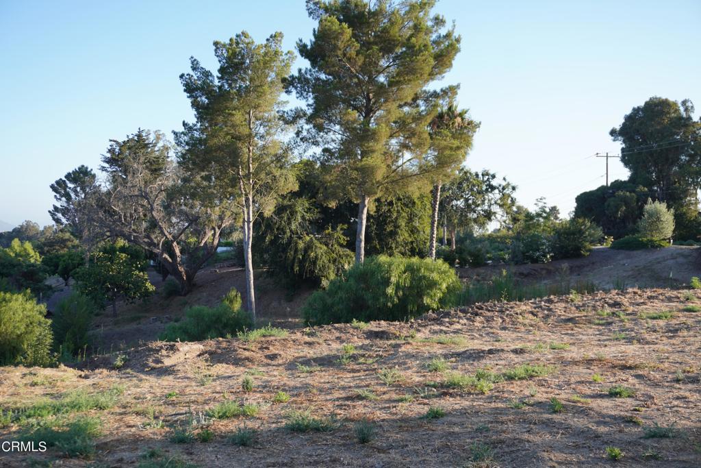 0 Vientos Road Camarillo, CA 93010 - Photo 37 of 57 DSC00059