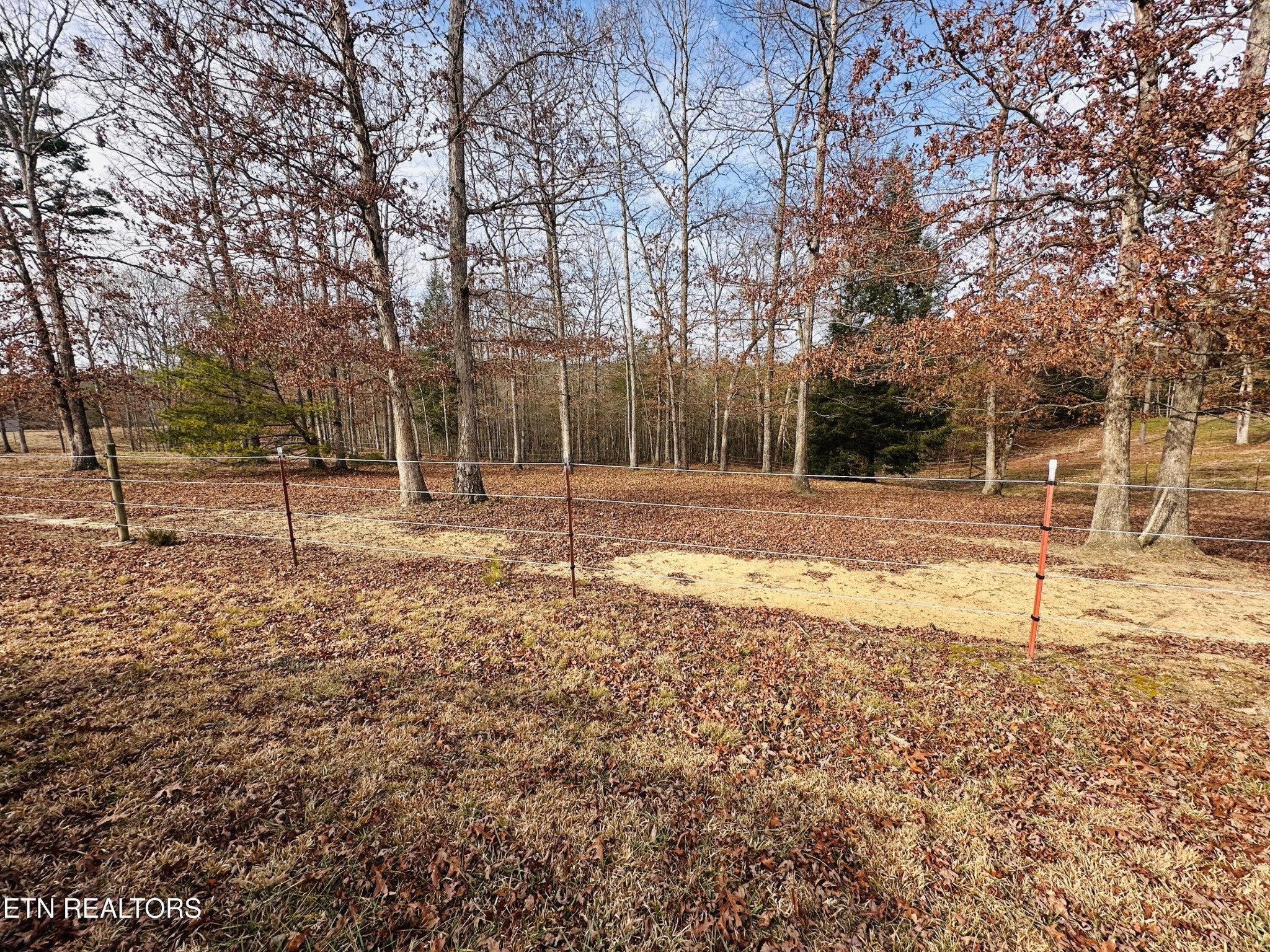 490 Rockview Road Jamestown, TN 38556 - Photo 3 of 9