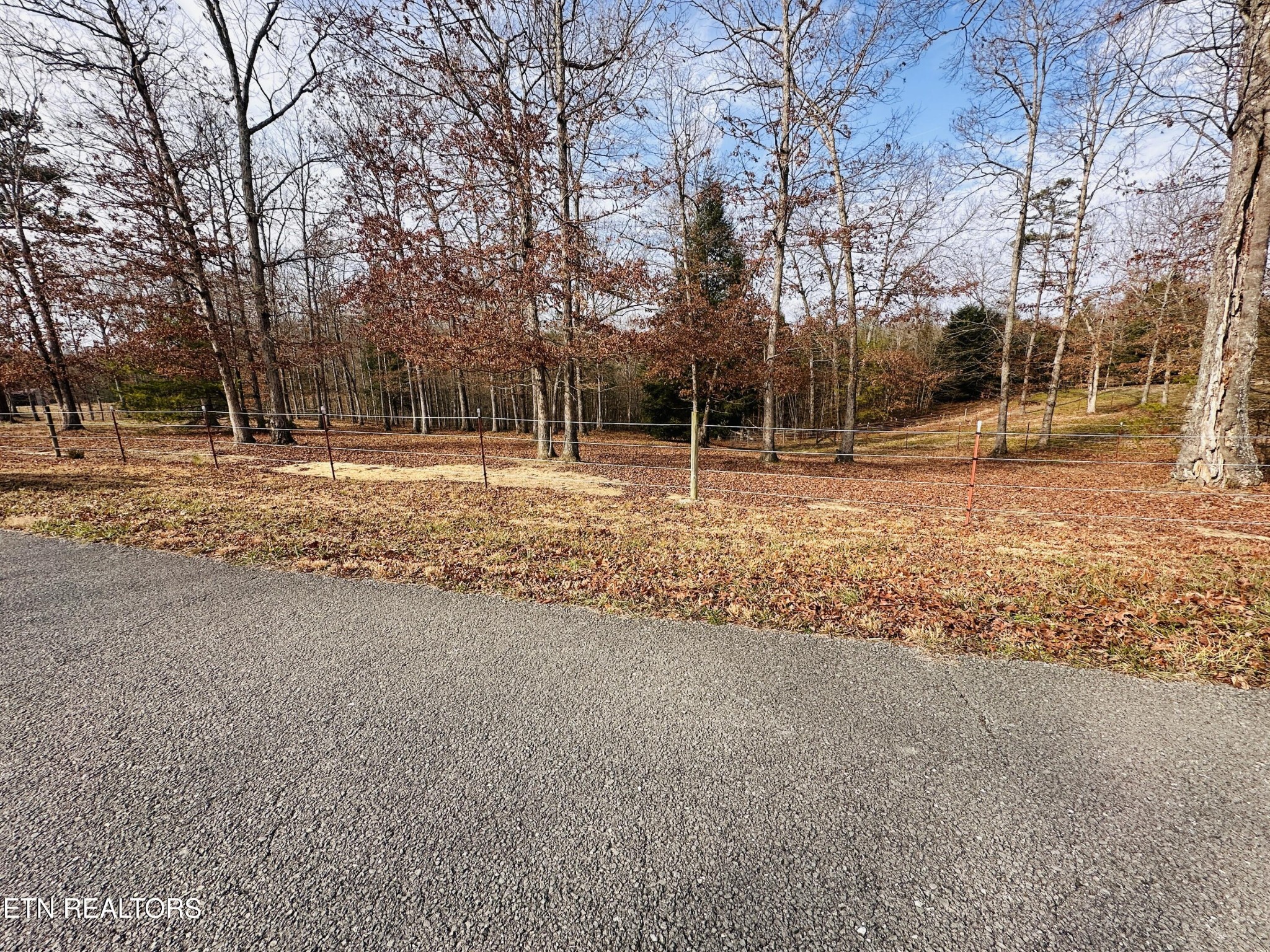 490 Rockview Road Jamestown, TN 38556 - Photo 5 of 9