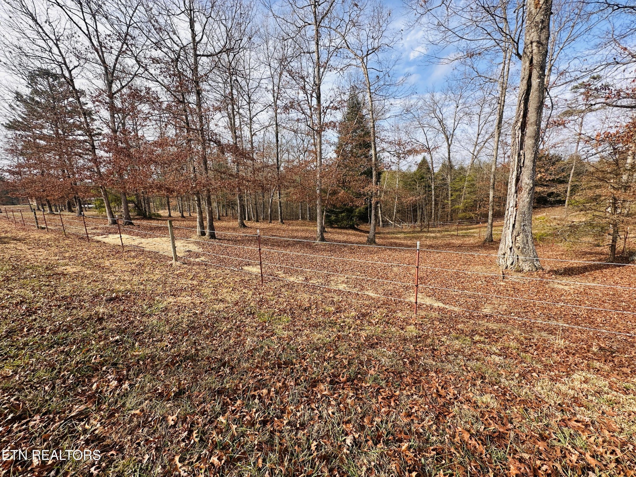 490 Rockview Road Jamestown, TN 38556 - Photo 8 of 9