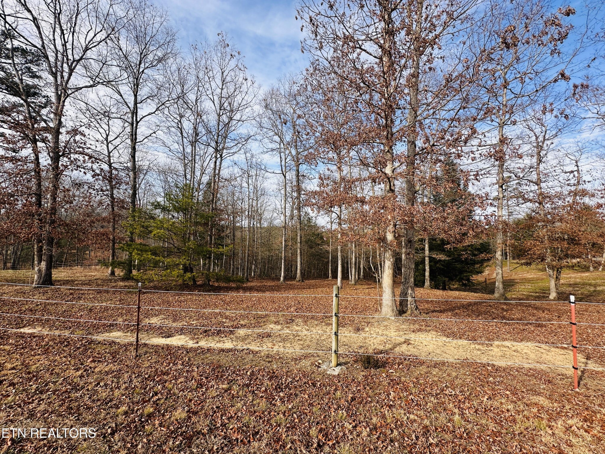 490 Rockview Road Jamestown, TN 38556 - Photo 9 of 9