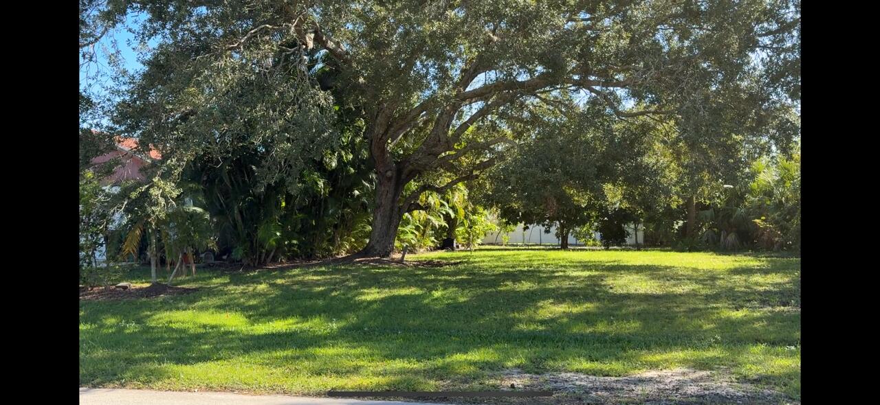 2061 Southwest Ember Street Port St. Lucie, FL 34953 - Photo 1 of 1 a view of a trees in a yard