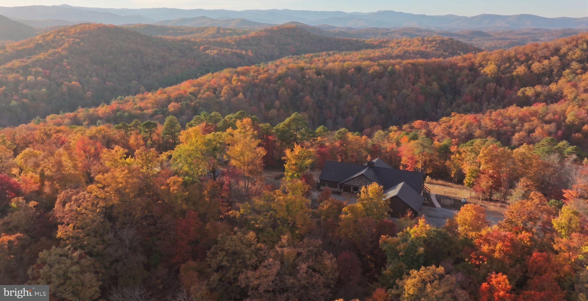 415 Grahams Farm Road Stuart, VA 24171 - Photo 113 of 121 Autumn's embrace in mountain serenity.