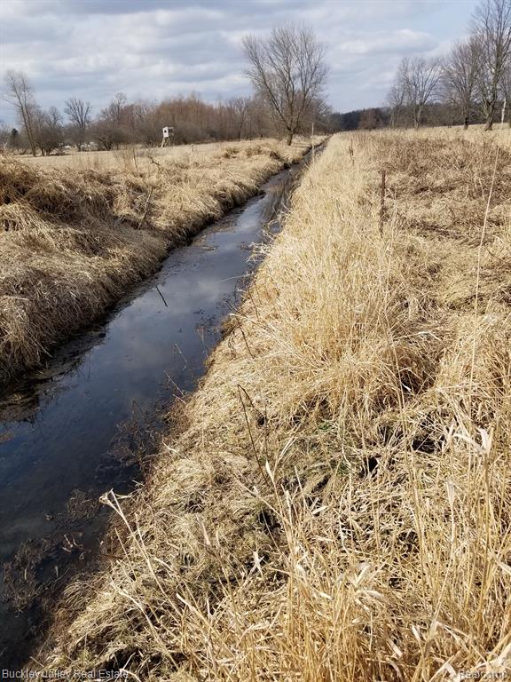 0 East Townsend Road Webberville, MI 48892 - Photo 3 of 15