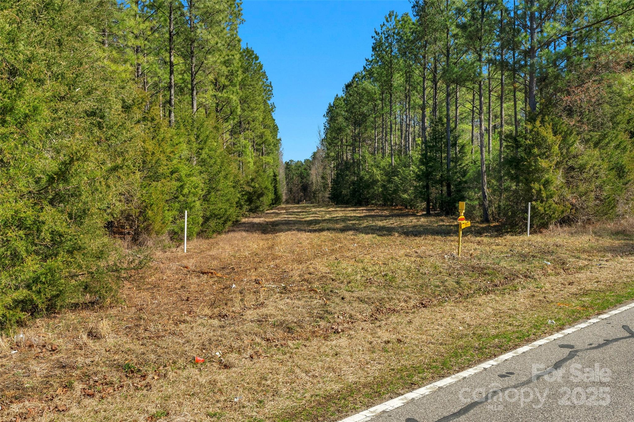 0 Orrs Station Road Chester, SC 29706 - Photo 30 of 39 Gallery Image 30