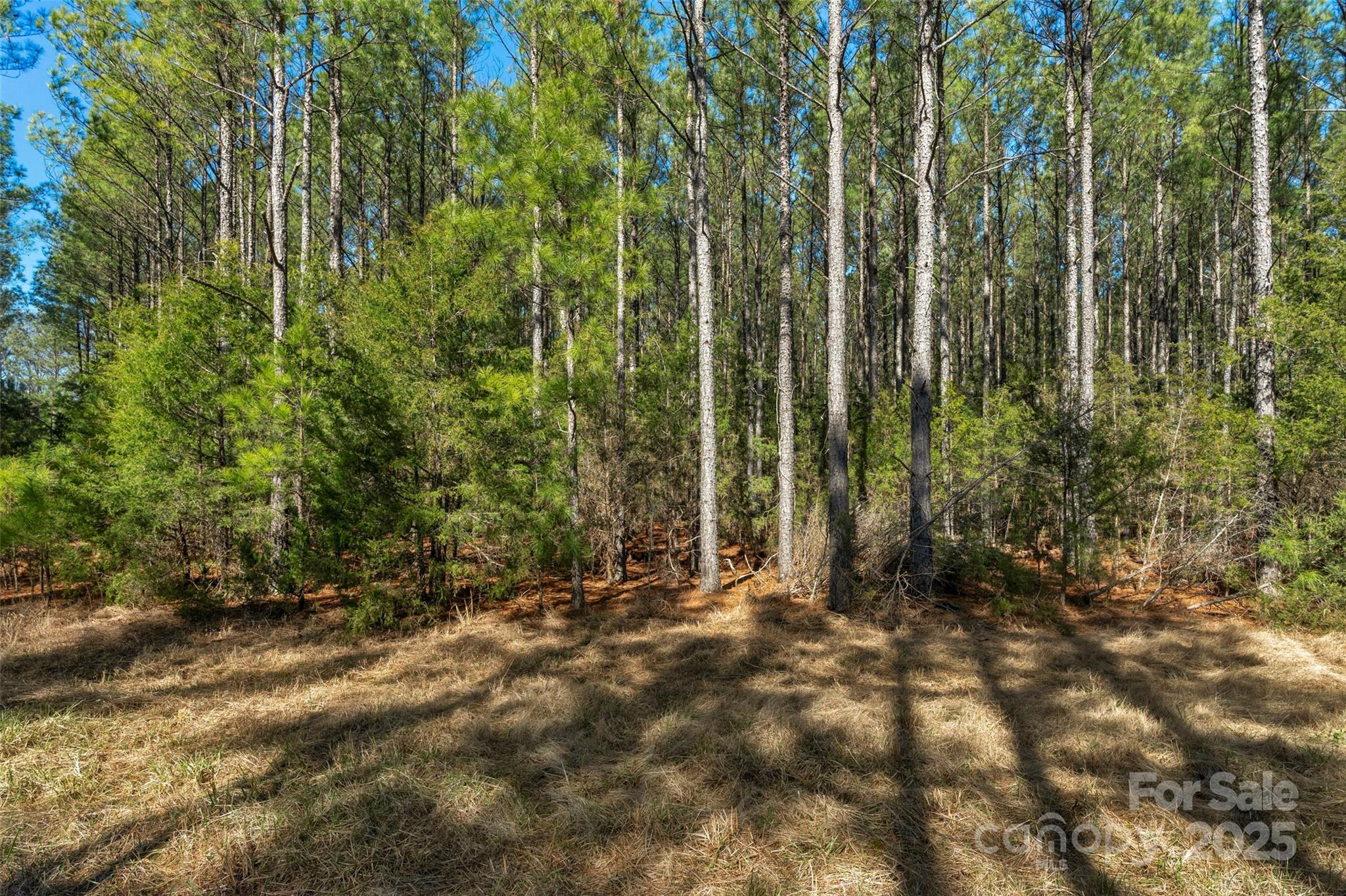 0 Orrs Station Road Chester, SC 29706 - Photo 31 of 39 Gallery Image 31