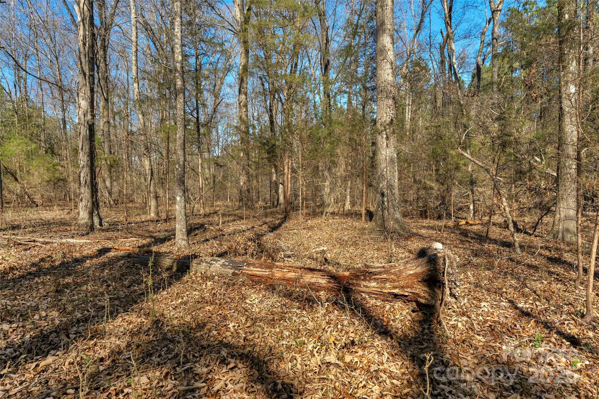 0 Orrs Station Road Chester, SC 29706 - Photo 35 of 39 Gallery Image 35