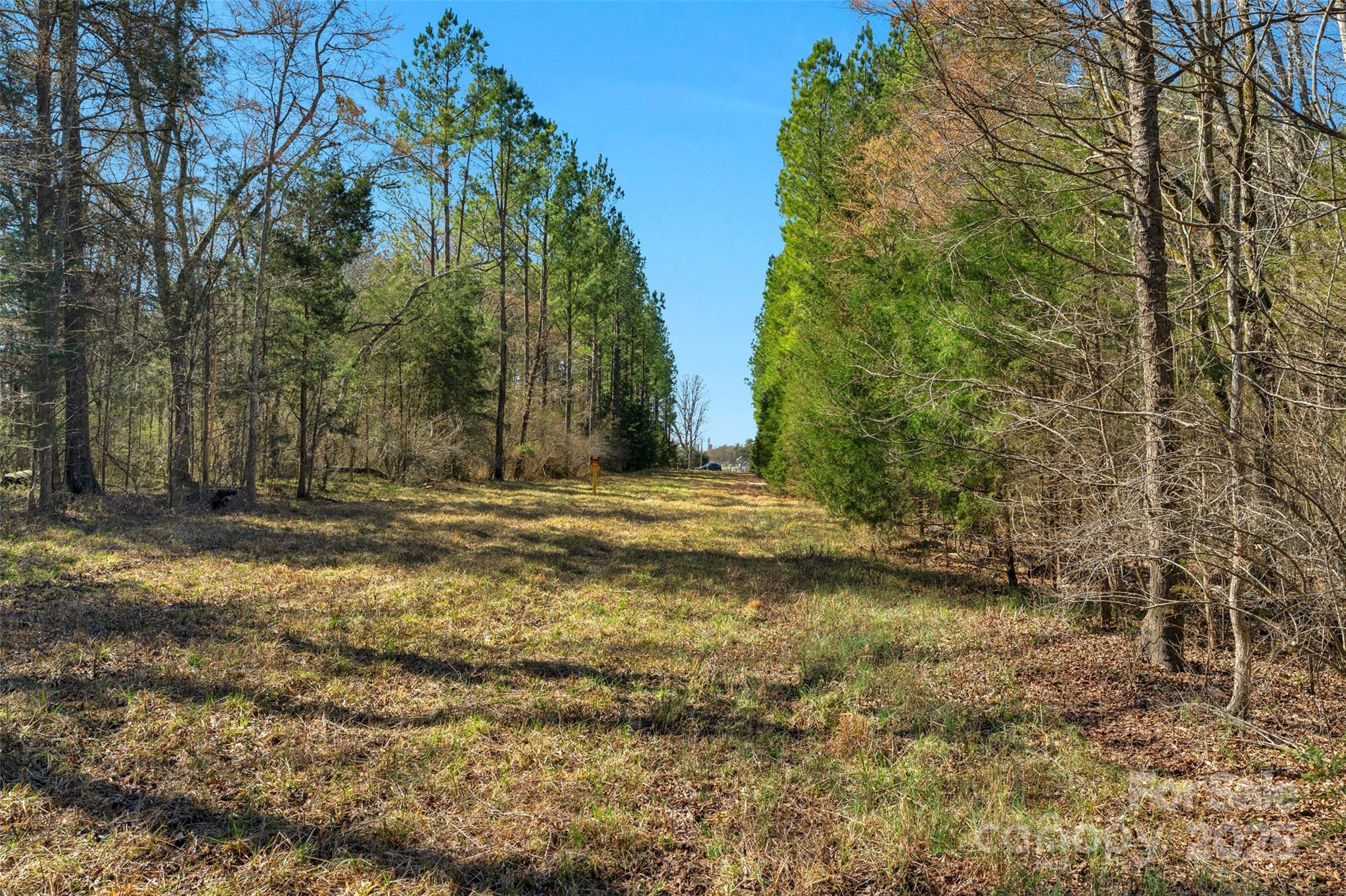 0 Orrs Station Road Chester, SC 29706 - Photo 36 of 39 Gallery Image 36
