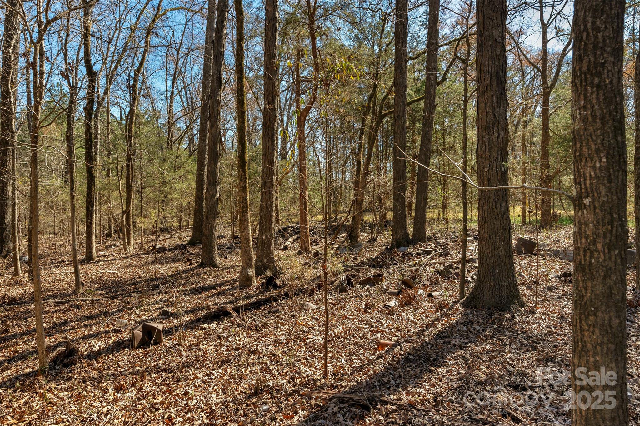 0 Orrs Station Road Chester, SC 29706 - Photo 6 of 39 Gallery Image 6