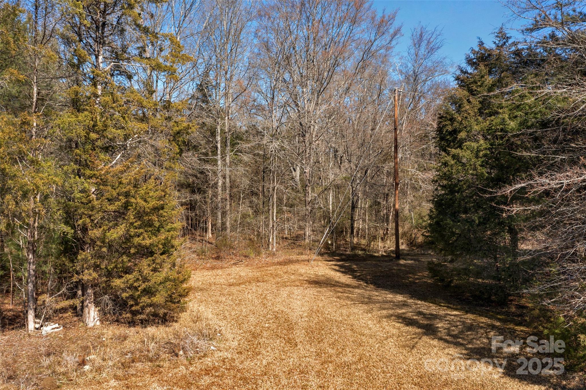 0 Orrs Station Road Chester, SC 29706 - Photo 8 of 39 Gallery Image 8