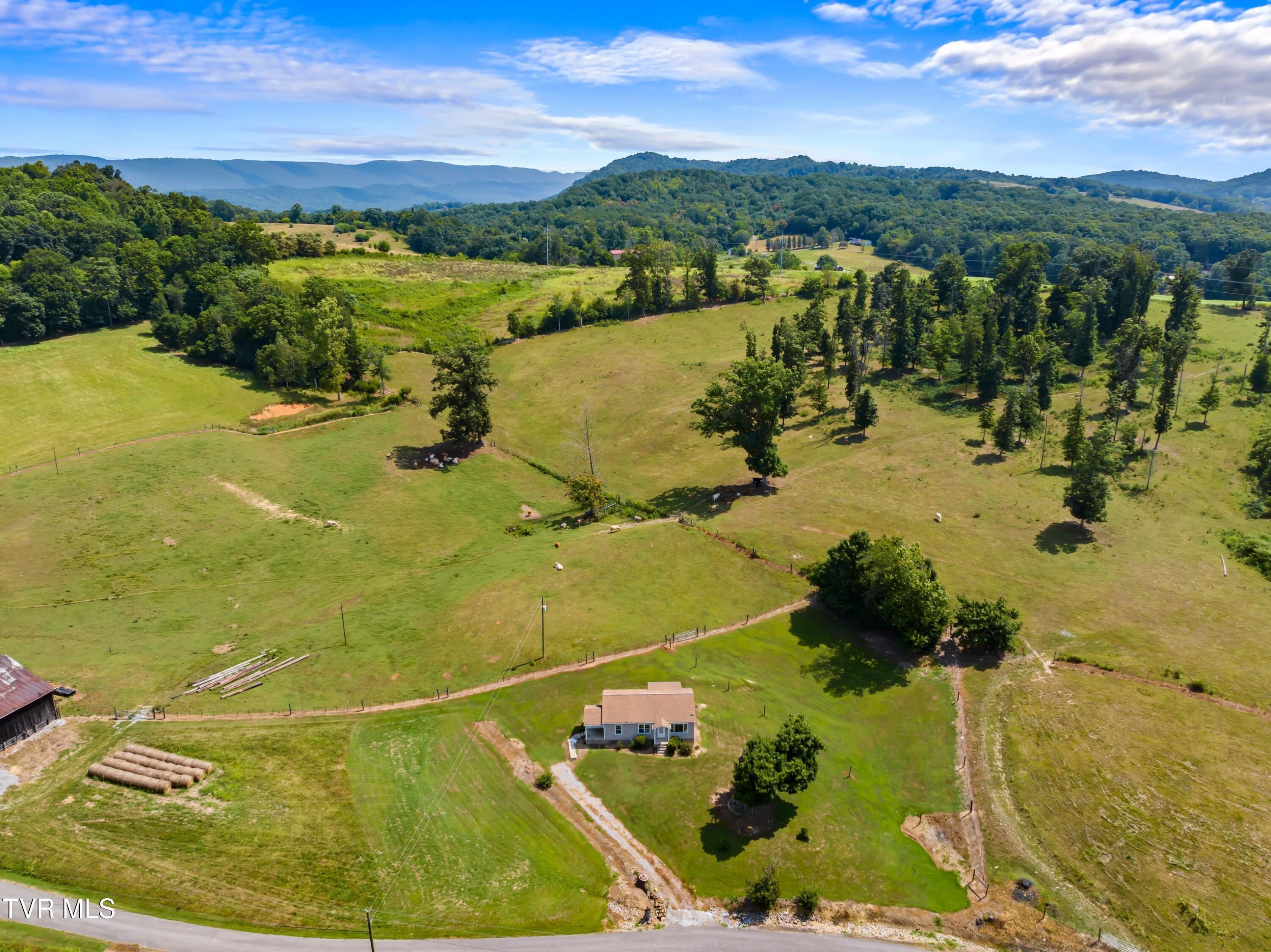 1989 Beckham Road Rutledge, TN 37861 - Photo 3 of 25 C.jpg-SMALL