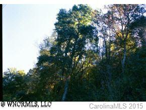 9-12 Angel Falls Road, Unit 9 #12 Clyde, NC 28721 - Photo 4 of 4 a view of outdoor space and covered with trees