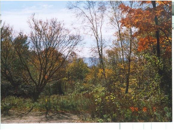 Dawson Hill Road Wallingford, VT 05773 - Photo 1 of 1 Gallery Image 1