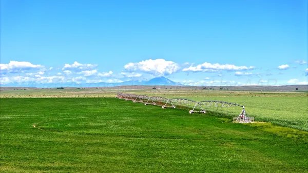 a view of a grassy field with an trees