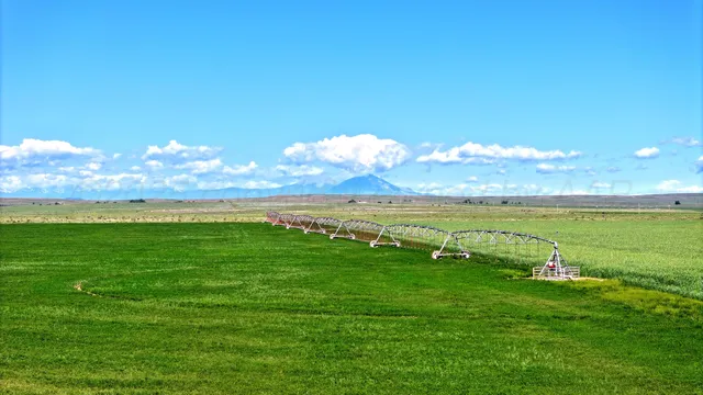 a view of a grassy field with an trees