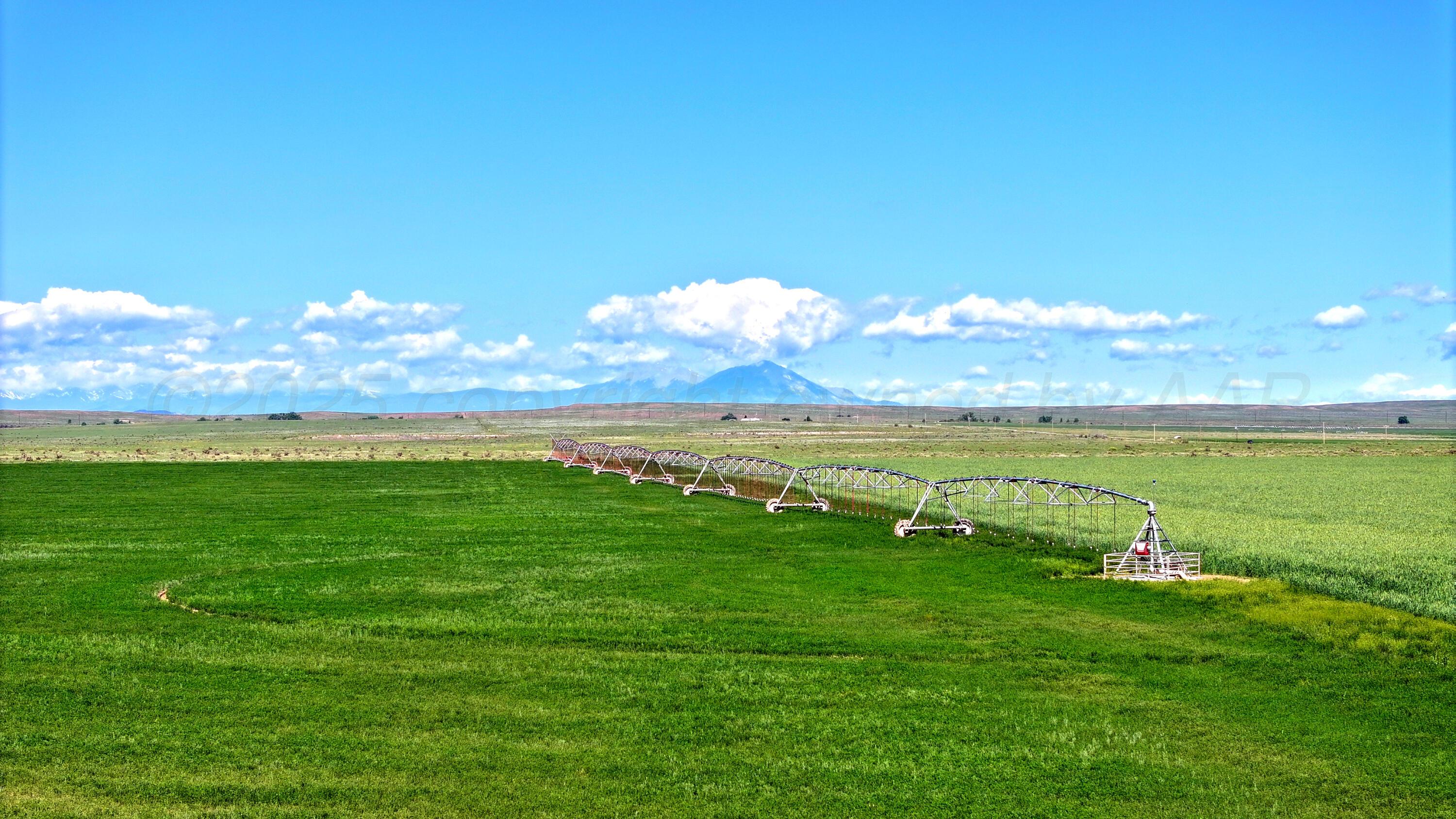 48999 County Road 48 Model, CO 81059 - Photo 13 of 47 a view of a lake with a big yard