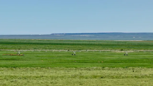 a view of entryway and hall