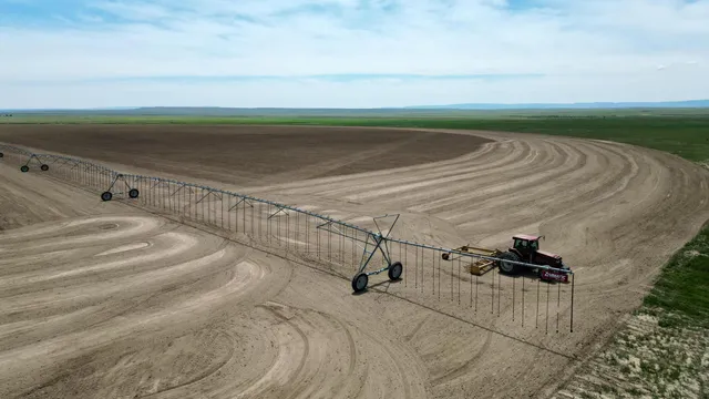 a view of a grassy field with an trees