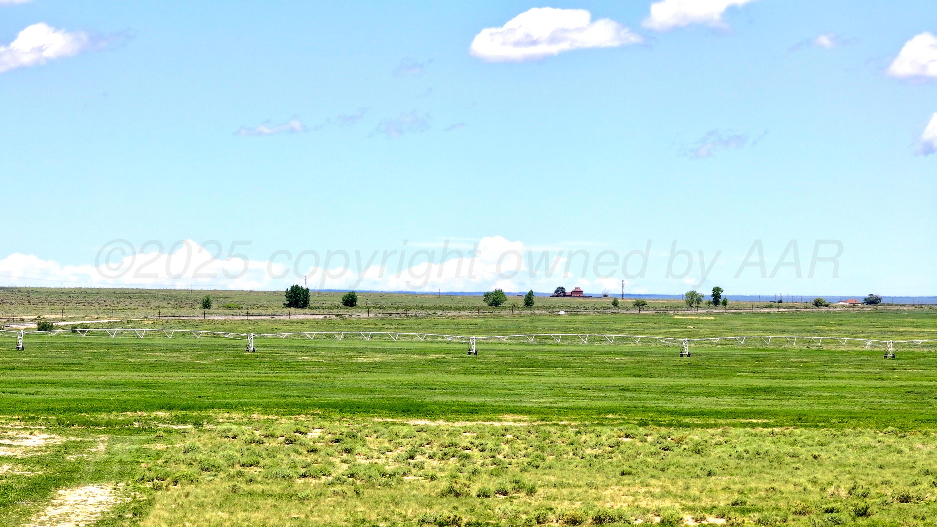 48999 County Road 48 Model, CO 81059 - Photo 16 of 47 a view of a grassy field with an trees