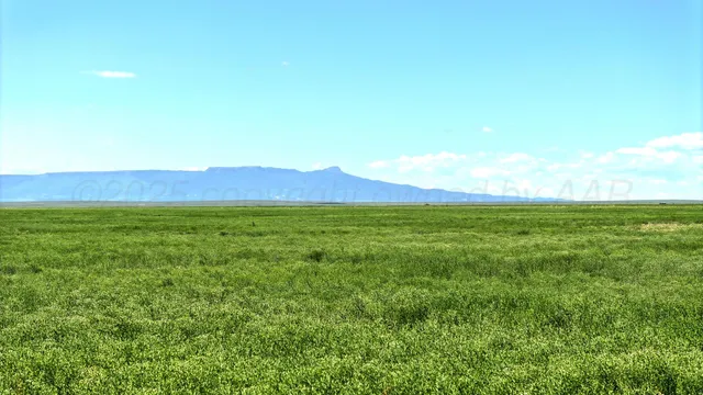 a view of an empty room with mountain view