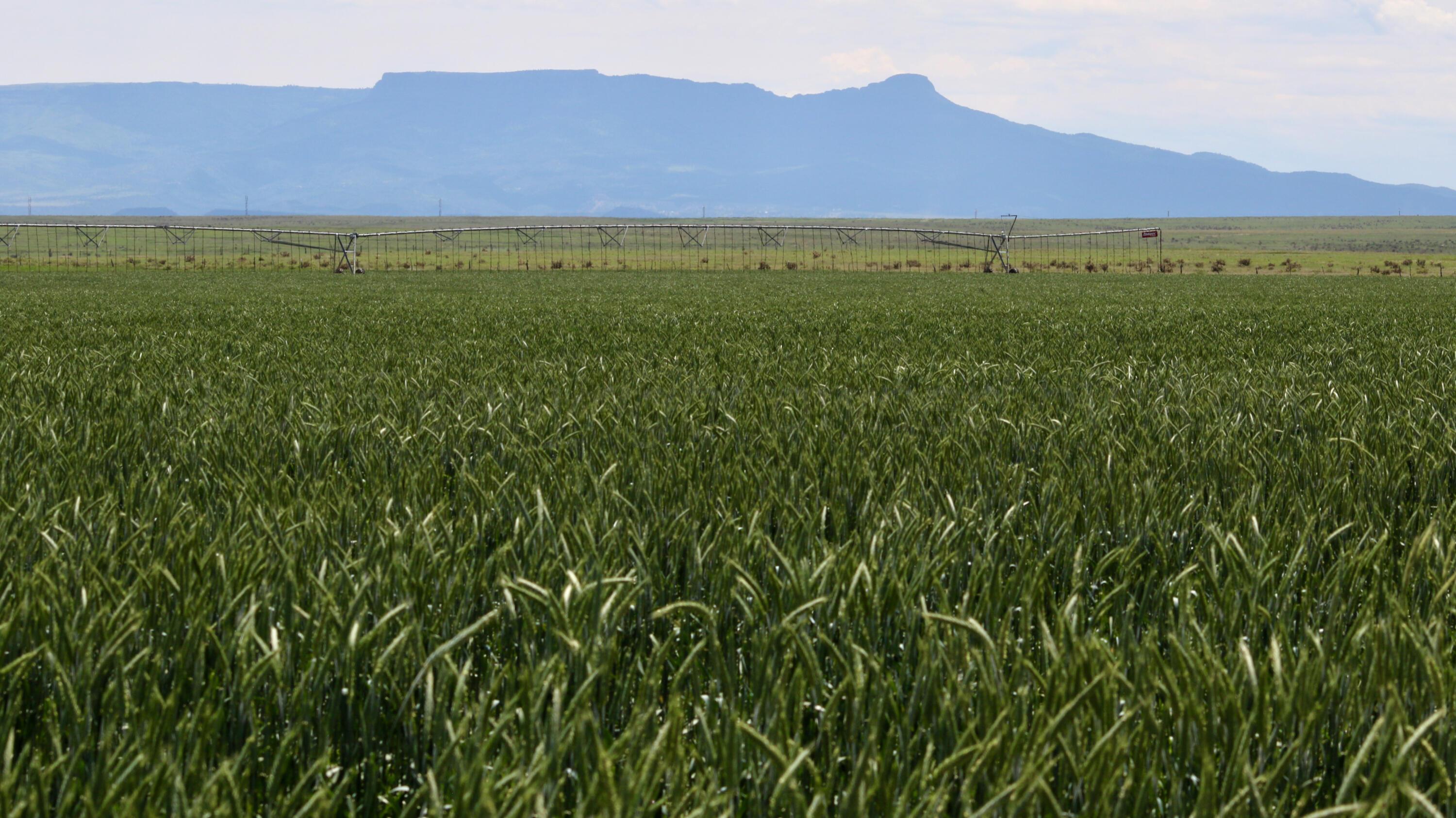 48999 County Road 48 Model, CO 81059 - Photo 26 of 47 a view of an mountain