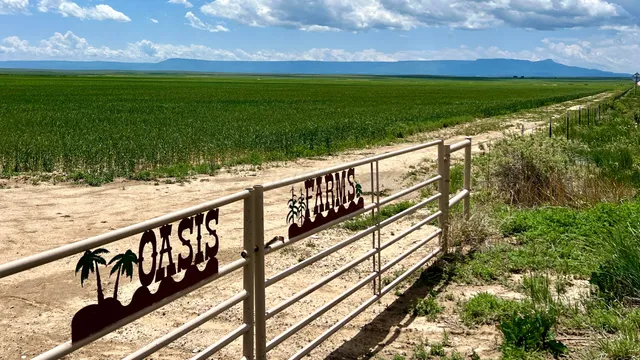 a view of a ocean from a balcony