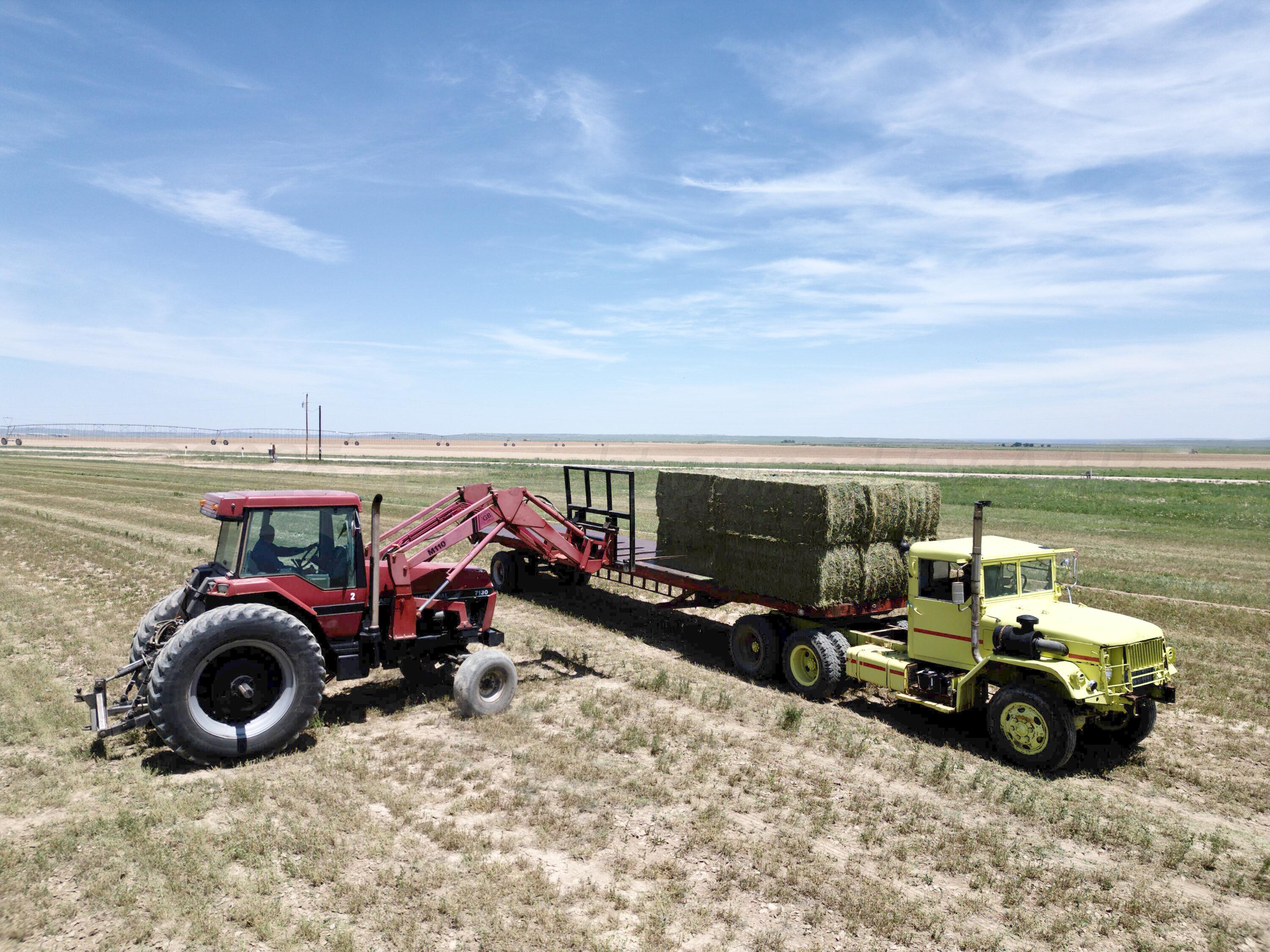48999 County Road 48 Model, CO 81059 - Photo 34 of 47 a view of a terrace with a table and chairs under an umbrella