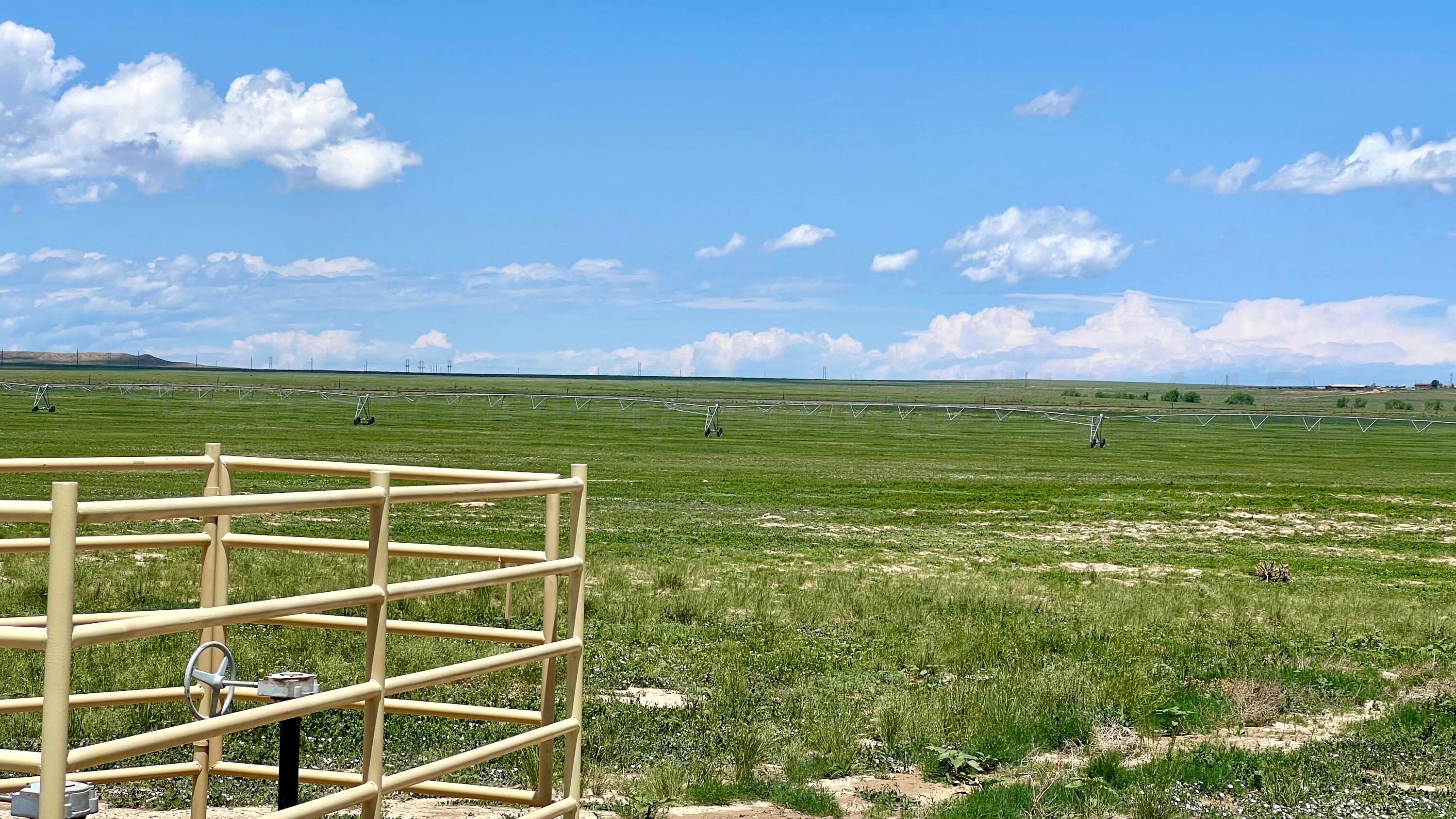 48999 County Road 48 Model, CO 81059 - Photo 39 of 47 a view of a big room with a big yard