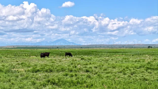 a view of outdoor space with green field