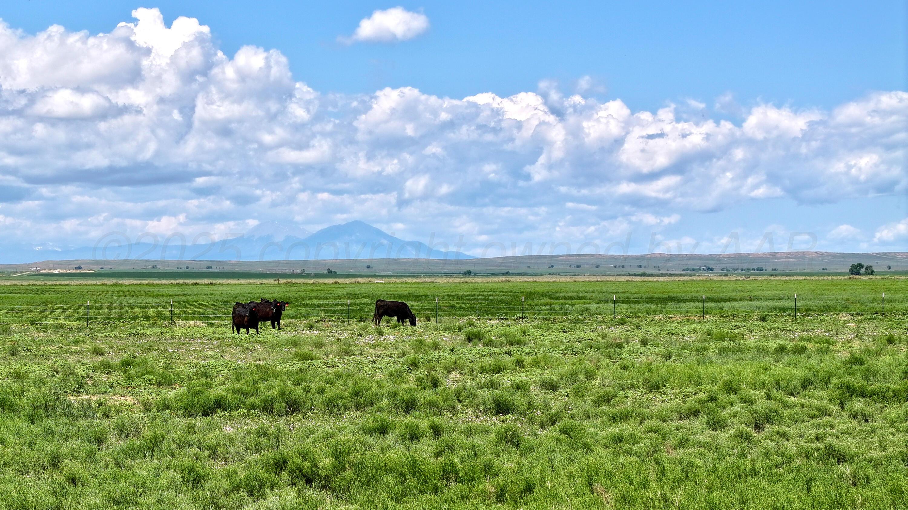 48999 County Road 48 Model, CO 81059 - Photo 4 of 47 a view of outdoor space with green field