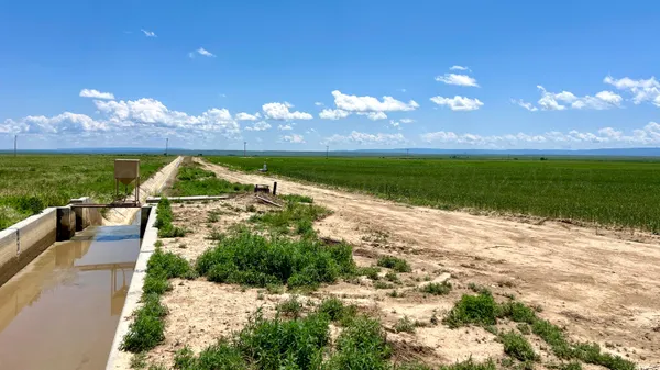 a view of a lush green field