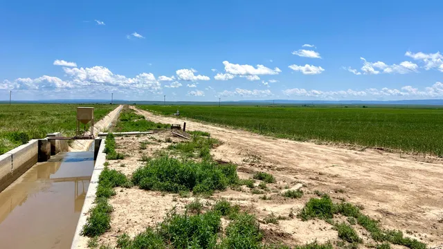 a view of a lush green field