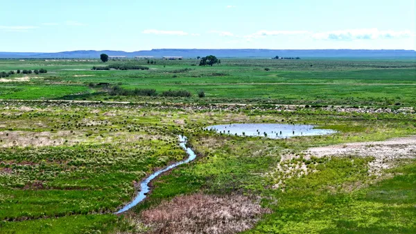 $20,000,000 | 48999 County Road 48, Model, CO 81059