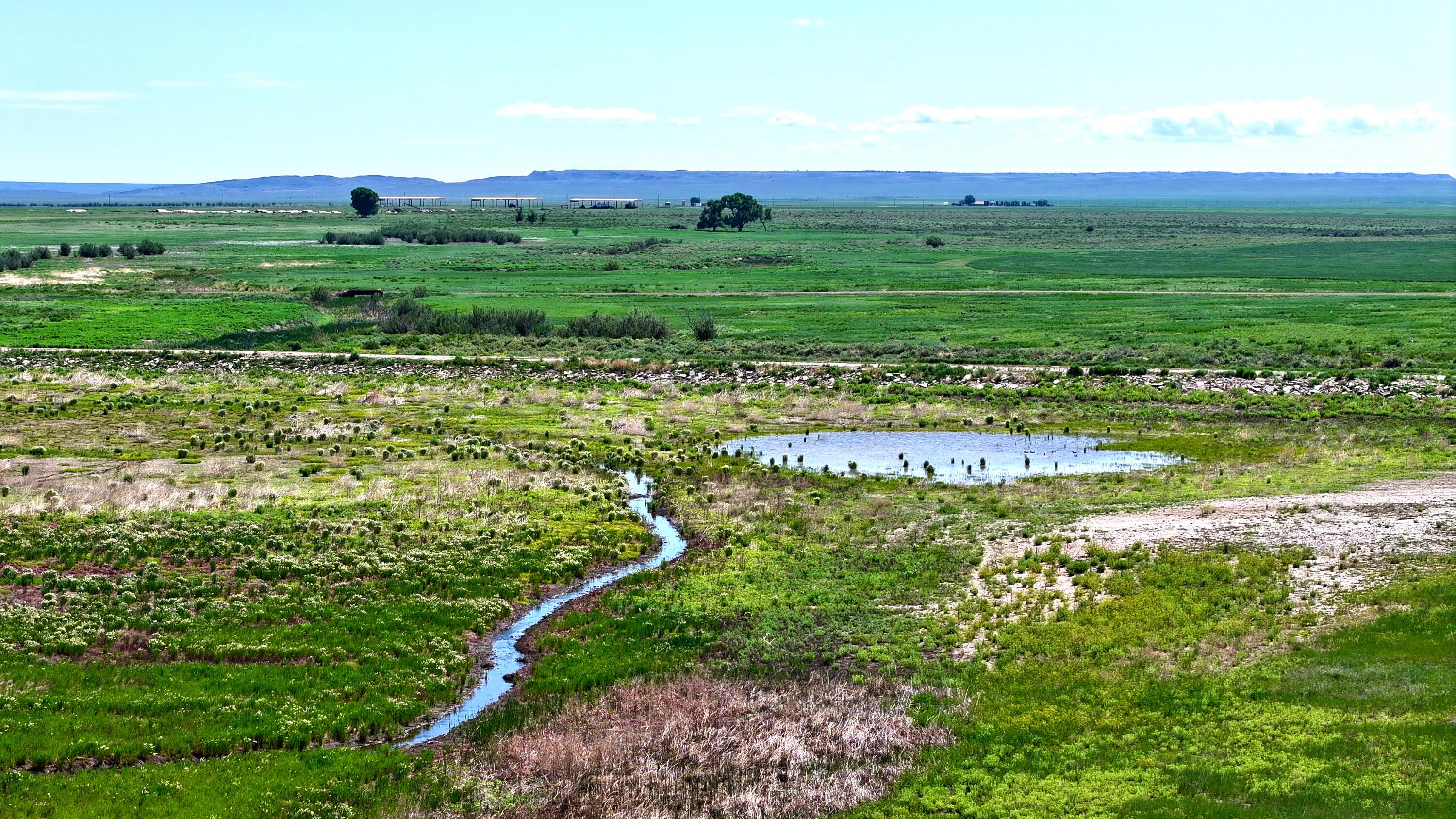 48999 County Road 48 Model, CO 81059 - Photo 45 of 47 a view of a lush green field