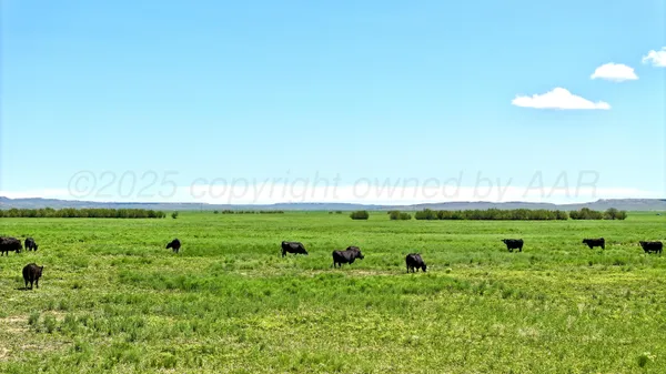 a view of a green field