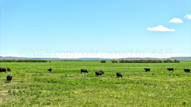 a view of a green field