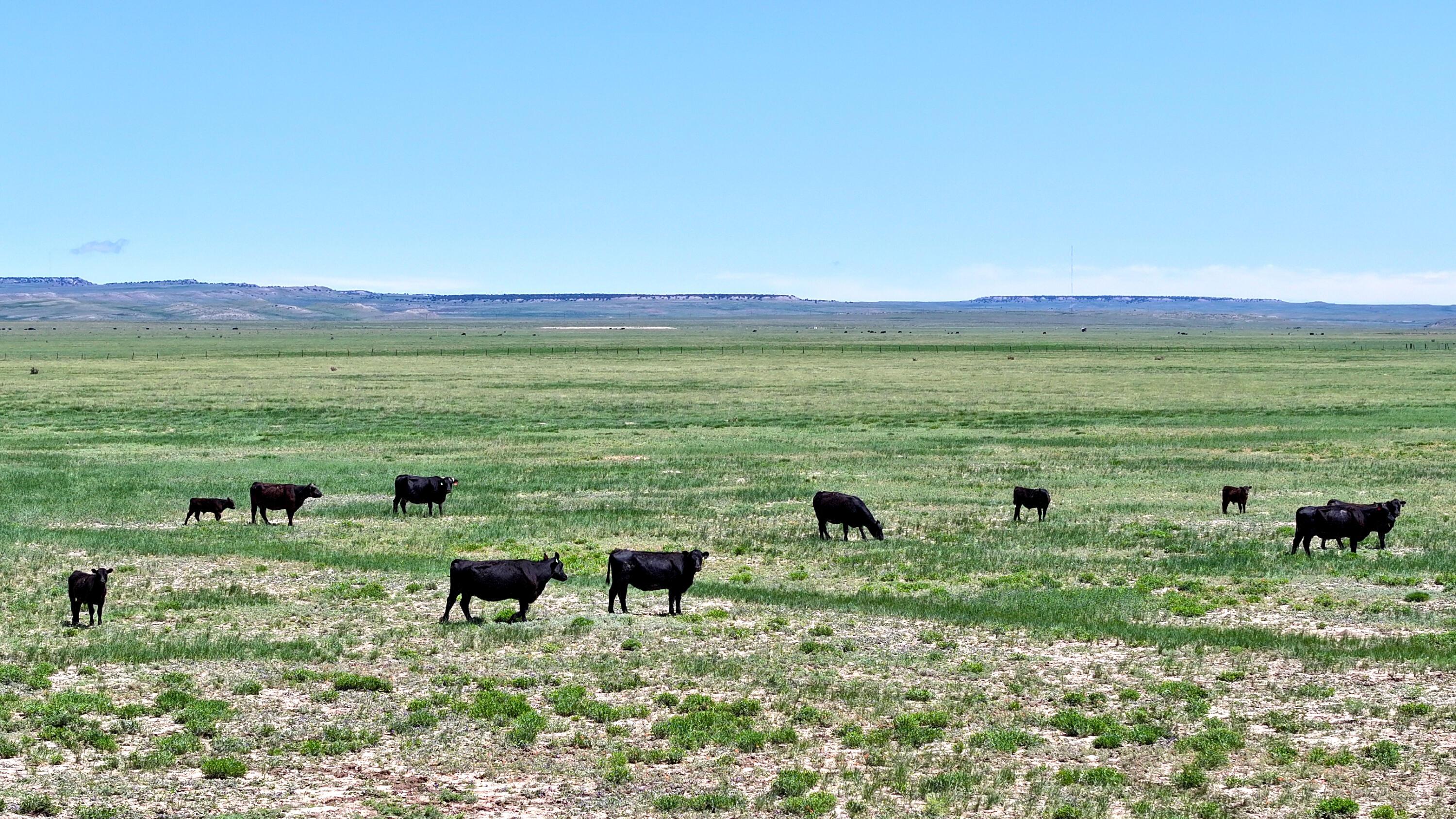 48999 County Road 48 Model, CO 81059 - Photo 6 of 47