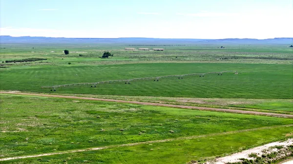a view of a field with an ocean
