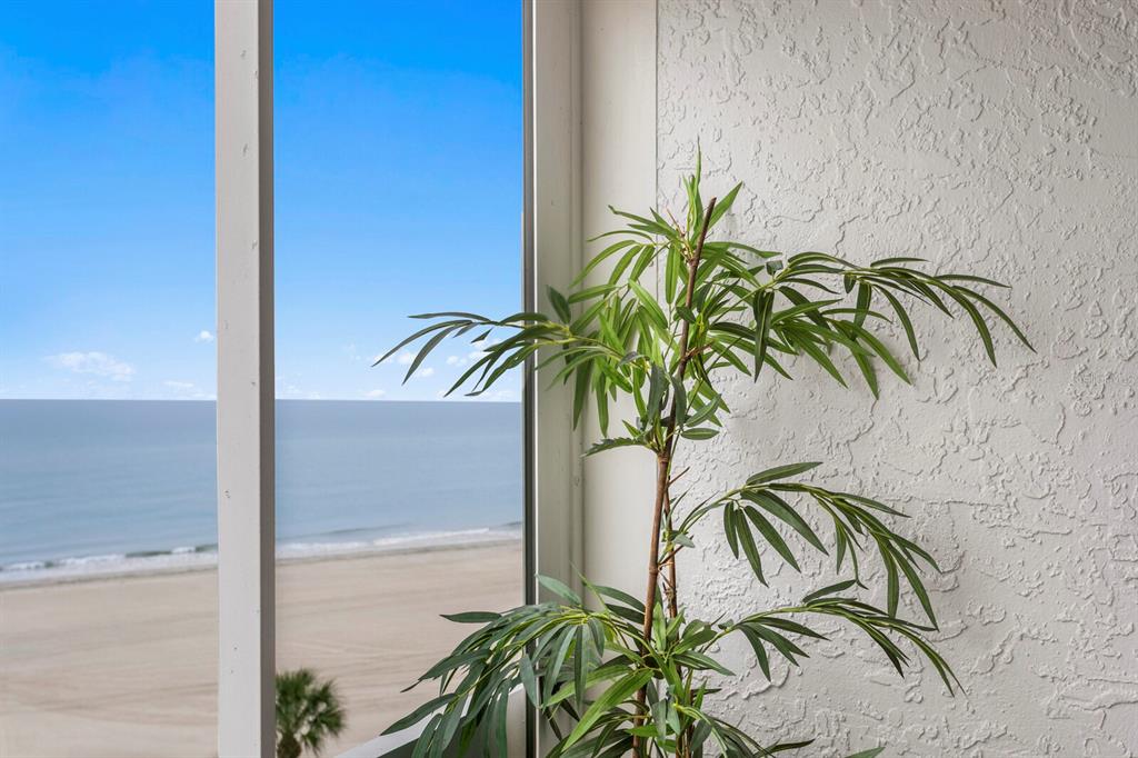 17900 Gulf Boulevard, Unit 6A Redington Shores, FL 33708 - Photo 49 of 74
