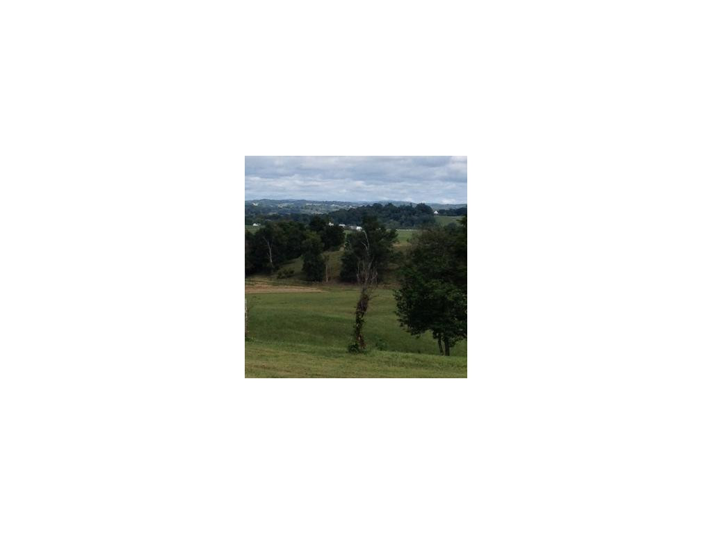 204 Tabernacle Road Chuckey, TN 37641 - Photo 9 of 11 View From back of property