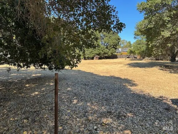 a view of a yard with trees