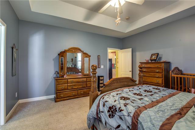 1016 Hummingbird Lane Spring Hill, TN 37174 - Photo 13 of 20 Did I mention that it was downstairs?