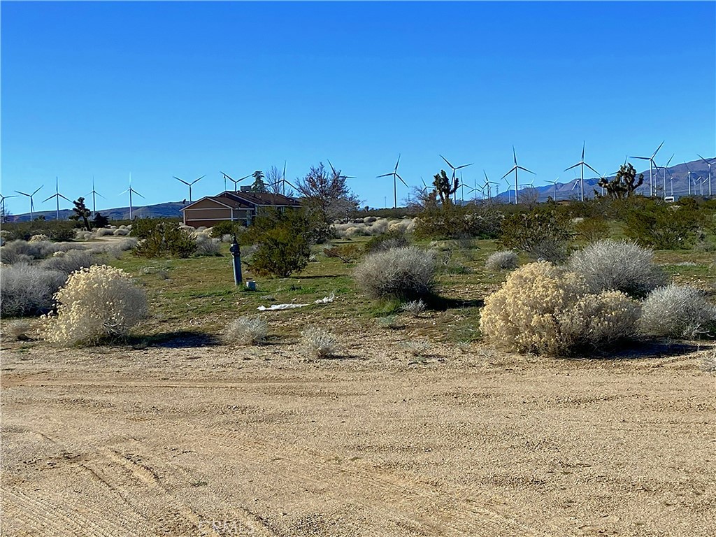 a view of a field