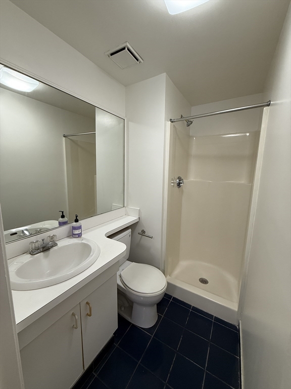 4 Milford Street, Unit M02 Boston, MA 02118 - Photo 6 of 9 a bathroom with a sink a toilet a mirror and shower