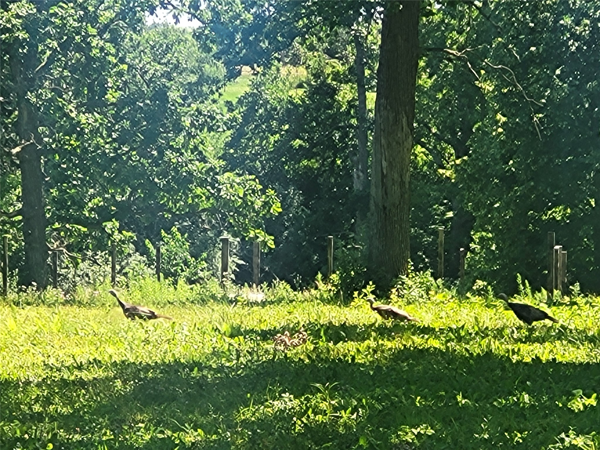 Lot 28 21st Street Rice Lake, WI 54868 - Photo 3 of 40