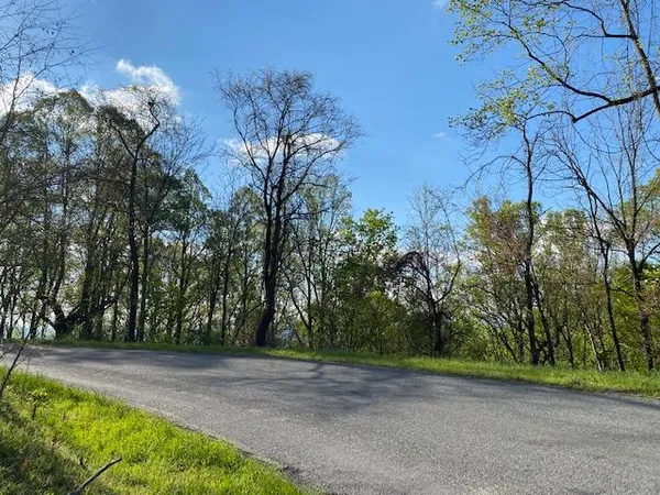 a view of backyard with green space